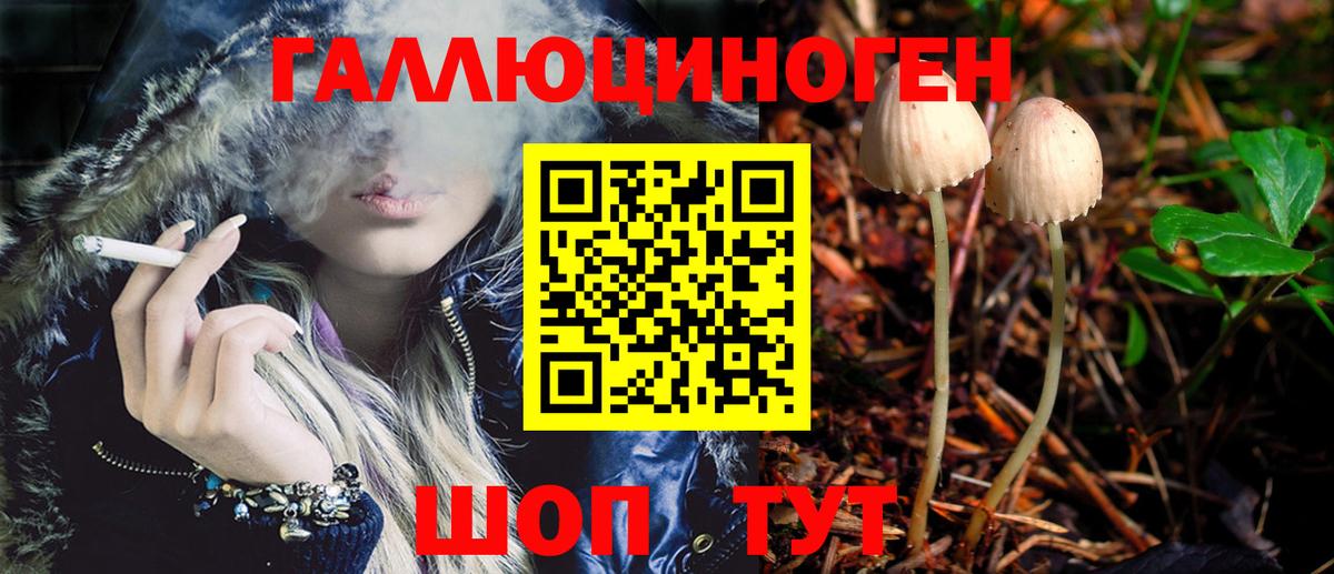 Кунгур  Галлюциногенные грибы Magic Shrooms  Вход с VPN 